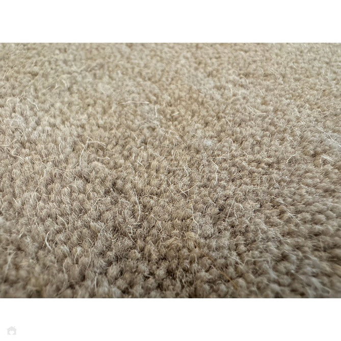 Ascot Modern Plain Hand-Woven Wool Centred Loop Pile Metallic Shimmer Wide Viscose Border Silver Rug-Asiatic Carpets-Rug Love - The Most Loved Rug Store