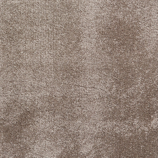 Deluxe Soft Plush Super Heavyweight High-Density Plain Polypropylene Shaggy Mink Rug-Think Rugs-Rug Love - The Most Loved Rug Store