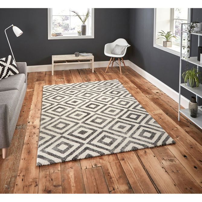 Elegant 4893 Grey/White Rug-Think Rugs-Rug Love - The Most Loved Rug Store