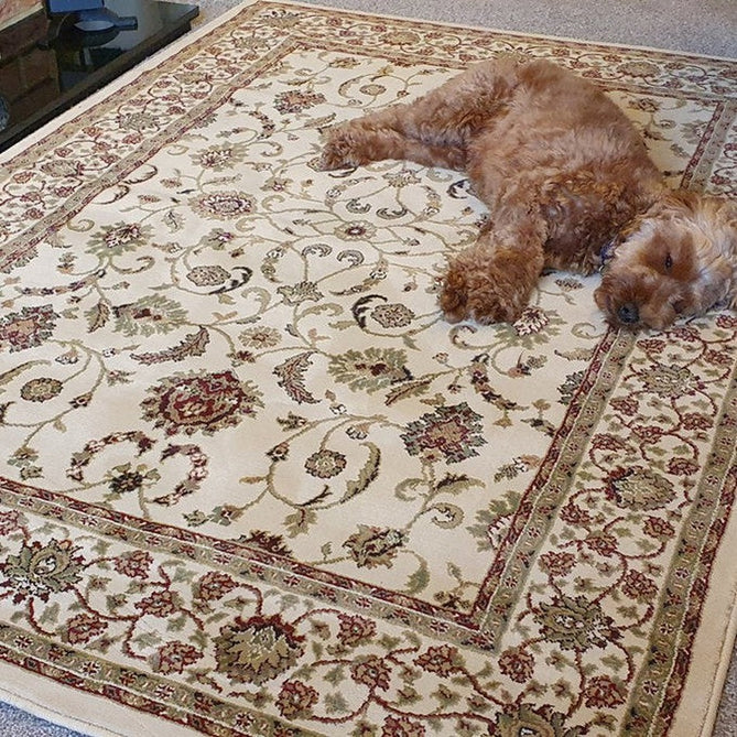 Kendra 137 W Traditional Persian Classic Floral Vine Bordered Stain-Resistant Cream Rug-Oriental Weavers-Rug Love - The Most Loved Rug Store