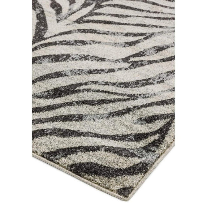 Nova NV27 Zebra Modern Abstract Durable Short Pile Grey Rug-Asiatic Carpets-Rug Love - The Most Loved Rug Store