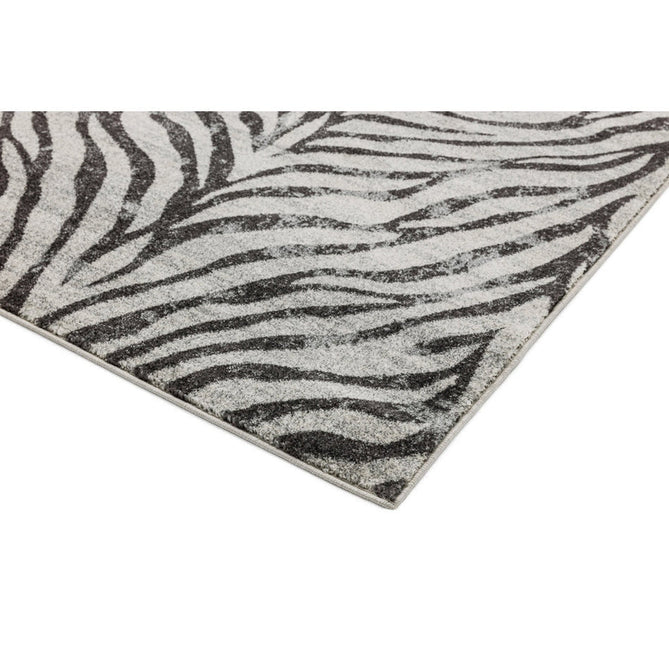 Nova NV27 Zebra Modern Abstract Durable Short Pile Grey Rug-Asiatic Carpets-Rug Love - The Most Loved Rug Store