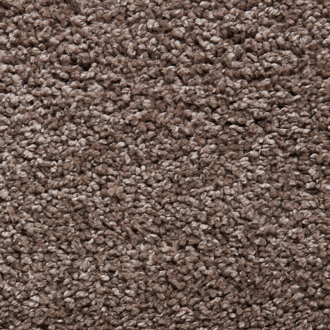 Sierra 9000 Plush Soft High-Density Stain-Resistant Plain Textured Polypropylene Shaggy Beige Rug-Think Rugs-Rug Love - The Most Loved Rug Store