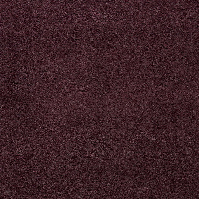 Sierra 9000 Plush Soft High-Density Stain-Resistant Plain Textured Polypropylene Shaggy Purple Rug-Think Rugs-Rug Love - The Most Loved Rug Store