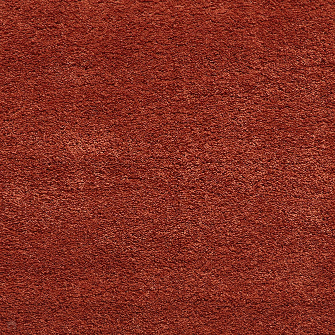 Sierra 9000 Plush Soft High-Density Stain-Resistant Plain Textured Polypropylene Shaggy Terracotta Rug-Think Rugs-Rug Love - The Most Loved Rug Store