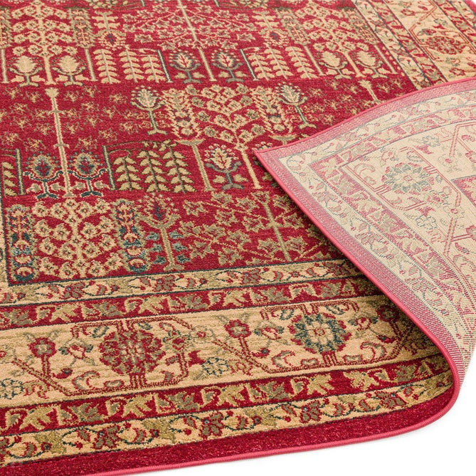 Windsor Traditional WIN09 Red/Multi Rug-Asiatic Carpets-Rug Love - The Most Loved Rug Store