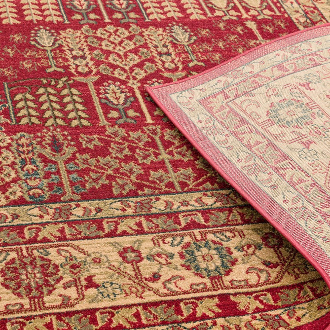 Windsor Traditional WIN09 Red/Multi Rug-Asiatic Carpets-Rug Love - The Most Loved Rug Store