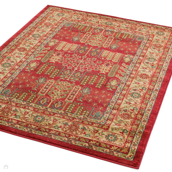 Windsor Traditional WIN09 Red/Multi Rug-Asiatic Carpets-Rug Love - The Most Loved Rug Store