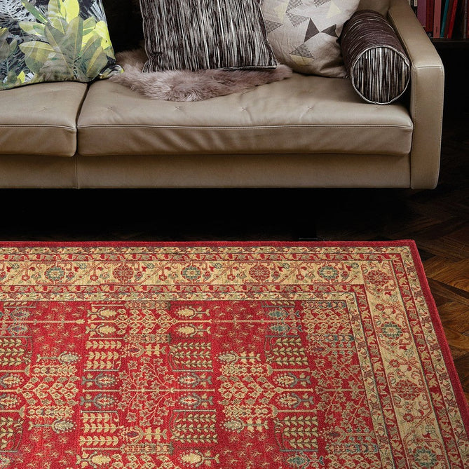 Windsor Traditional WIN09 Red/Multi Rug-Asiatic Carpets-Rug Love - The Most Loved Rug Store