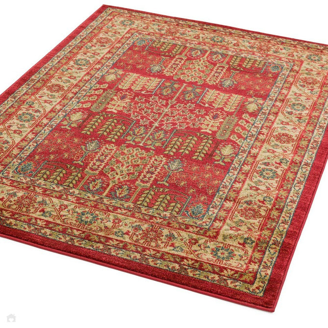 Windsor Traditional WIN09 Red/Multi Rug-Asiatic Carpets-Rug Love - The Most Loved Rug Store