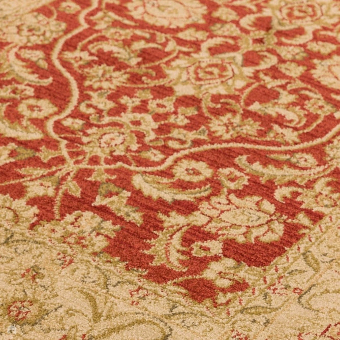 Windsor WIN02 Traditional Classic Floral Vine Bordered Red/Multi Rug-Asiatic Carpets-Rug Love - The Most Loved Rug Store