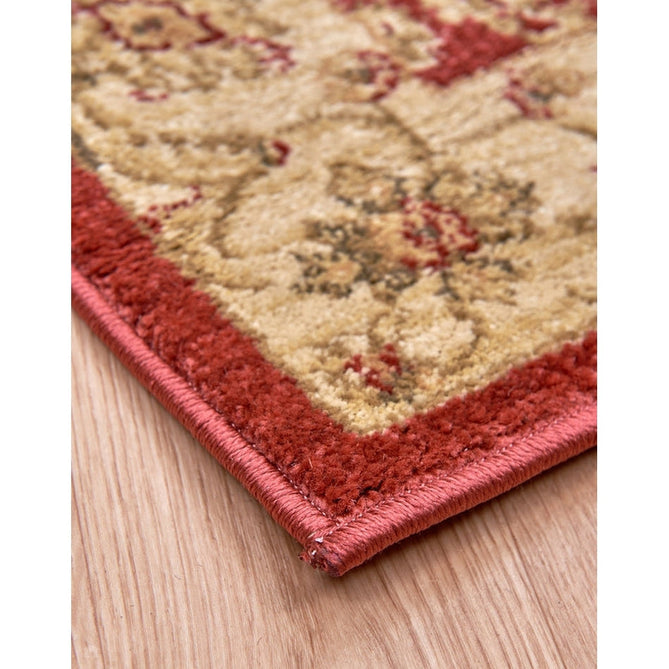 Windsor WIN02 Traditional Classic Floral Vine Bordered Red/Multi Rug-Asiatic Carpets-Rug Love - The Most Loved Rug Store