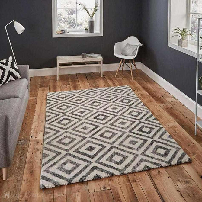 Elegant 4893 Grey/White Rug-Think Rugs-Rug Love - The Most Loved Rug Store