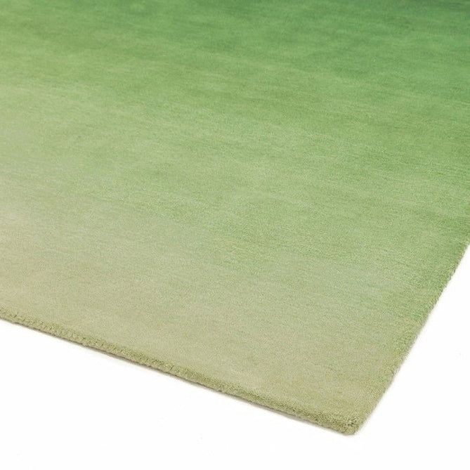 Ombre Green/Multi Rug-Asiatic Carpets-Rug Love - The Most Loved Rug Store